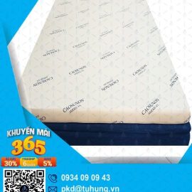 Nệm cao su non American 80cm x 2m x 10f