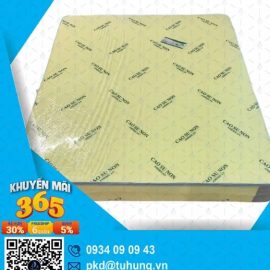Nệm cao su non American 1m2 x 2m x 10f giá rẻ