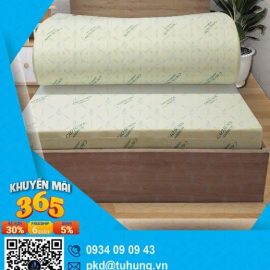 Nệm cao su non American 1m6 x 2m x 10f