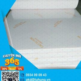 Nệm cao su non American 1m4 x 2m x 10f
