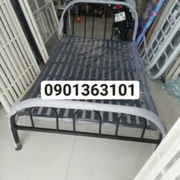 Z3052177857014 F31fde7487acf8a4d788c60e69806296