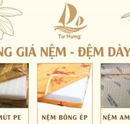 Bảng Giá Nệm (Đệm) Dày 5cm ➡️ Nệm (Đệm) Mút Xốp PE Dày 5cm ➡️ Nệm (Đệm) Bông Gòn Ép Dày 5cm ➡️ Nệm (Đệm) Cao Su Non American Dày 5cm